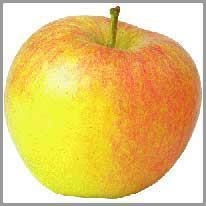 apple - elma