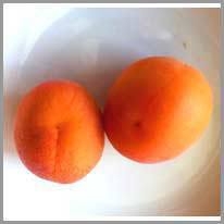 apricot - kayısı