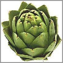 artichoke - enginar