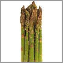 asparagus - kuşkonmaz