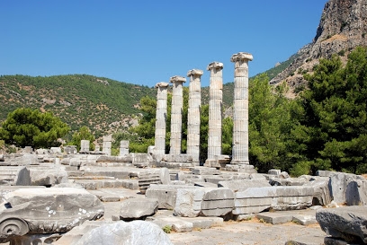 Aydın Priene Örenyeri