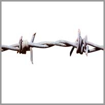 barbed wire - dikenli tel