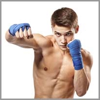 boxer - boksör