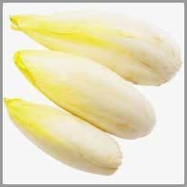 chicory - hindiba
