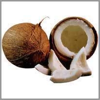 coconut - hindistan cevizi