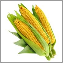 corn - mısır