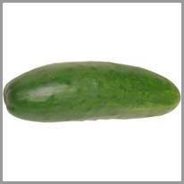 cucumber - salatalık