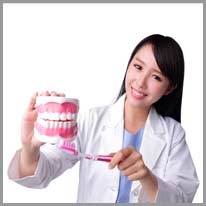 dentist - diş hekimi