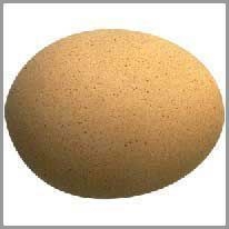 egg - yumurta