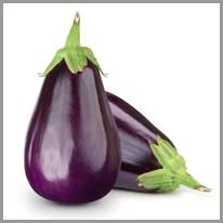 eggplant - patlıcan