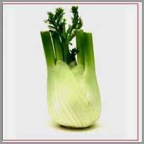 fennel - rezene