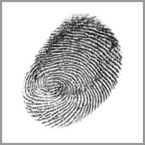 fingerprint - parmak izi
