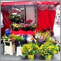 flower shop - çiçekçi dükkanı