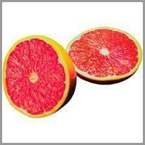 grapefruit - greyfurt