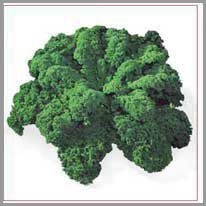 green cabbage - yeşil lahana