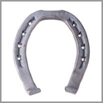 Horseshoe - At nalı