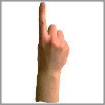 index finger - işaret parmağı