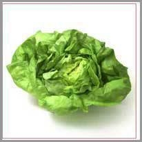 lettuce - marul