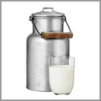 milk jug - süt sürahisi