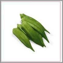okra - bamya