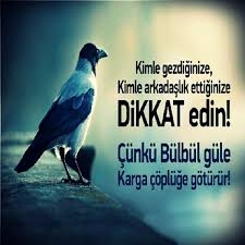 Resimlerle Güzel Sözler