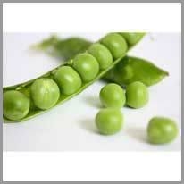 pea - bezelye