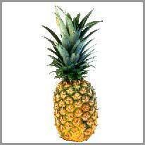 pineapple - ananas