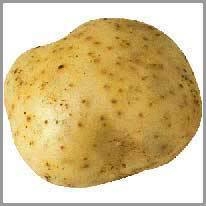 potato - patates