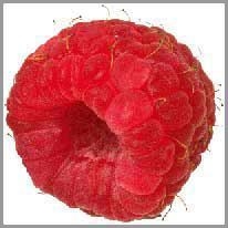 raspberry - ahududu