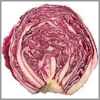 red cabbage - kırmızı lahana