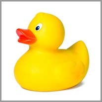 rubber duck - plastik ördek