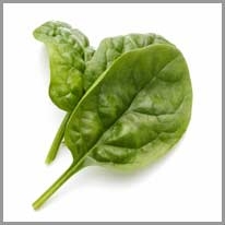 spinach - ıspanak