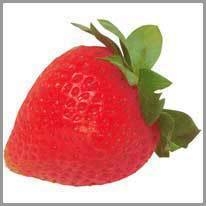 strawberry - çilek
