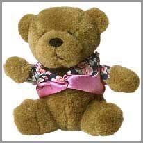 teddy bear - oyuncak ayı