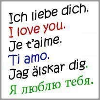 translation - çeviri