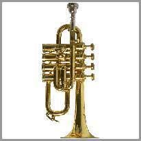 trumpet - trompet