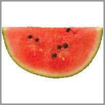 watermelon - karpuz